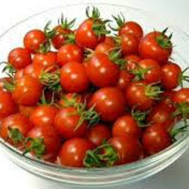

Tomat cherry - organik - buah