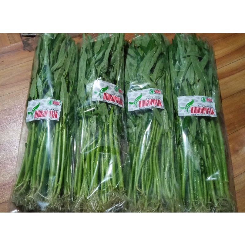 

Kangkung Hydroponik Segar 250 gr