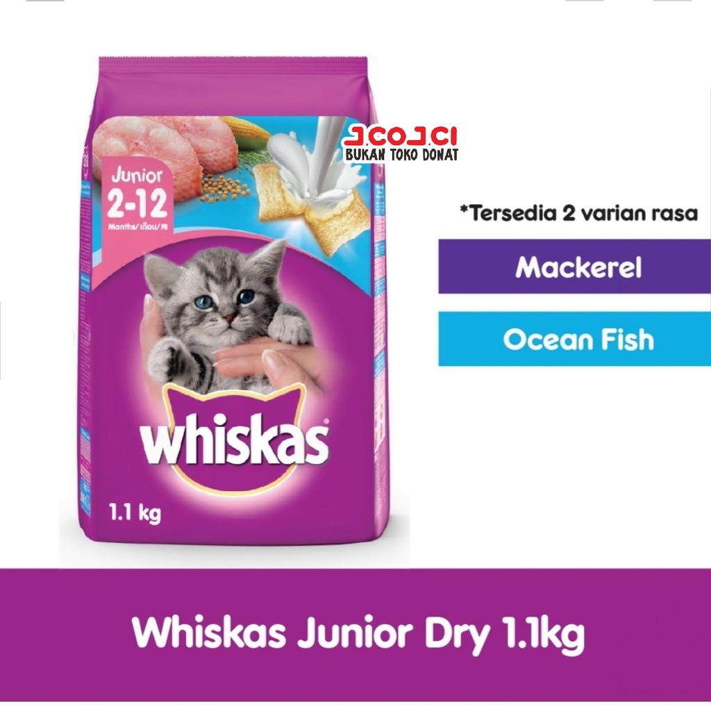 Jual Whiskas Dry Food Junior 1,1 Kg All Variant Shopee Indonesia