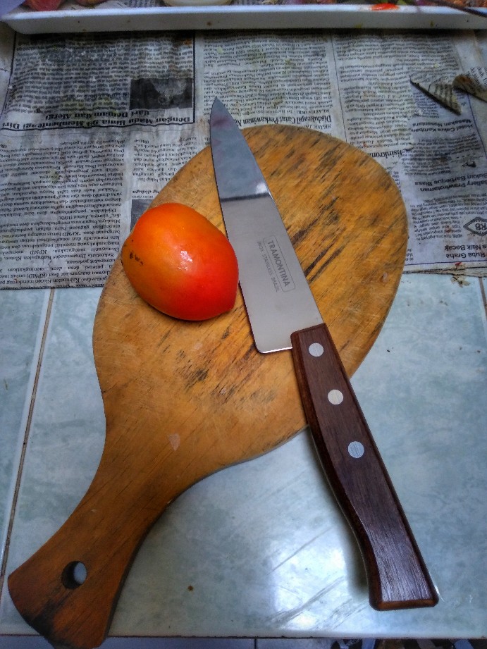 Pisau Dapur 7 Inch (17,5 Cm) Original Gagang Kayu Tramontina Brasil