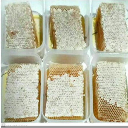 

[Bayar di tempat] Promo !!! Madu sarang melifera