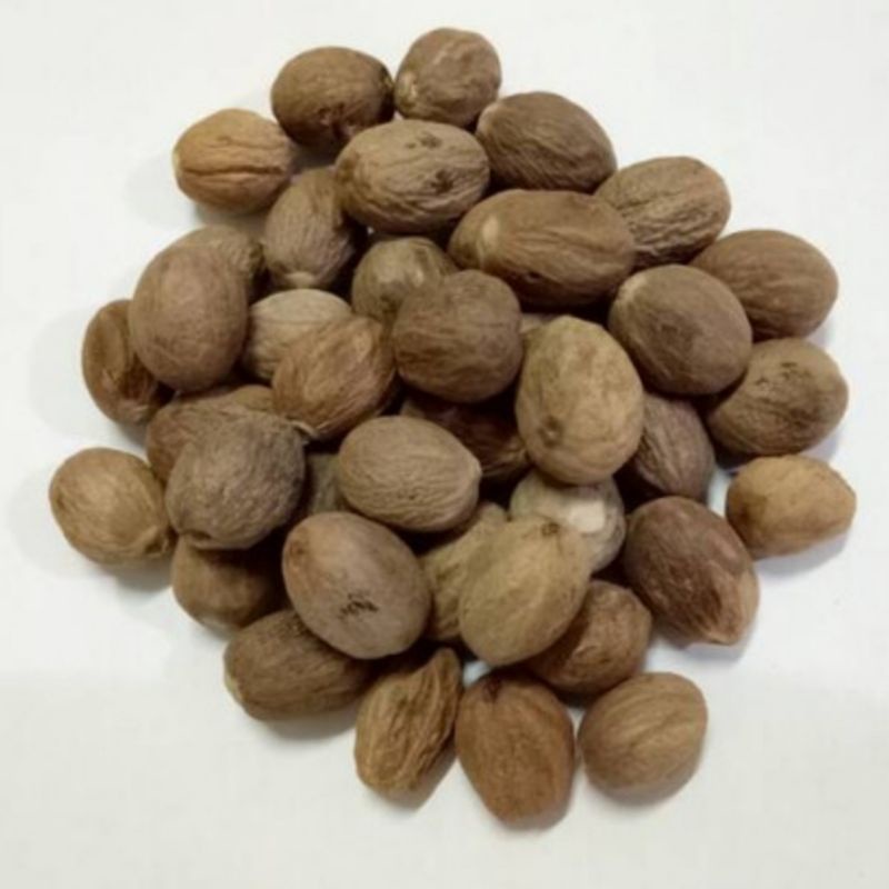 Biji Pala - Nutmeg Whole - 1pcs