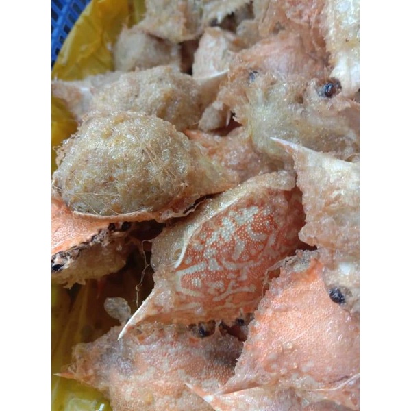 

kepitingisiMisi12-14pic