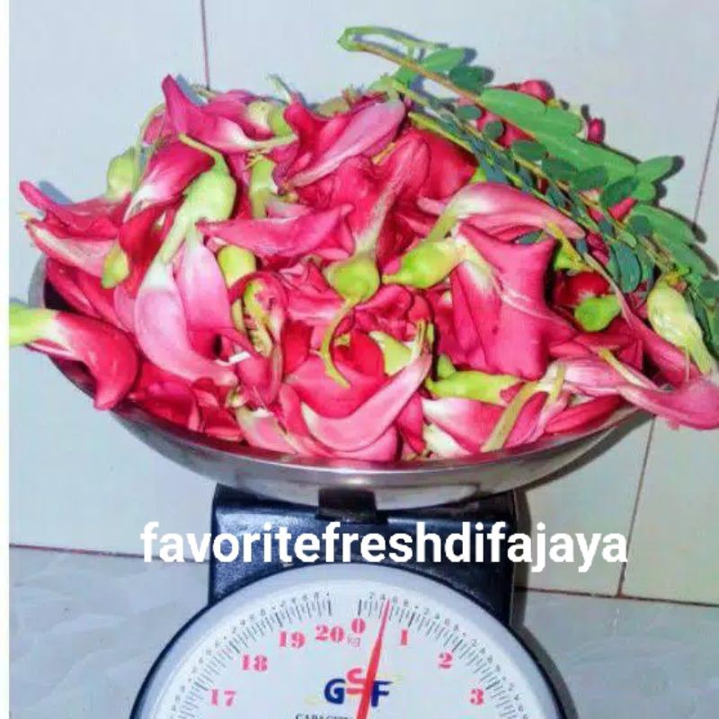

Bunga turi merah fresh