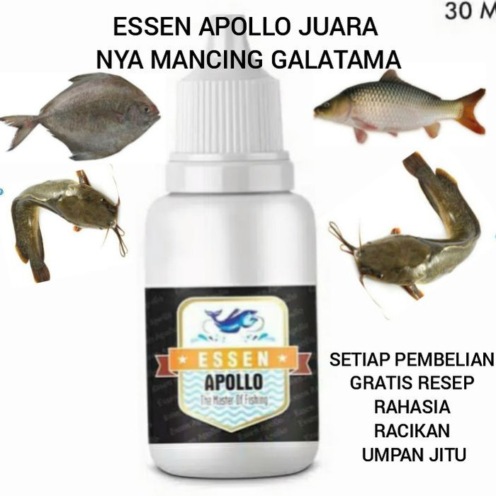 ESSEN APOLLO ESEN APOLO LEBIH UNGGUL DARI ESSEN SECRET STRIKE KATILAYU