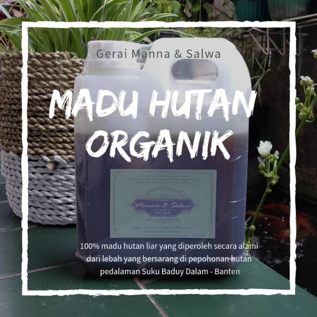 

Madu asli organik