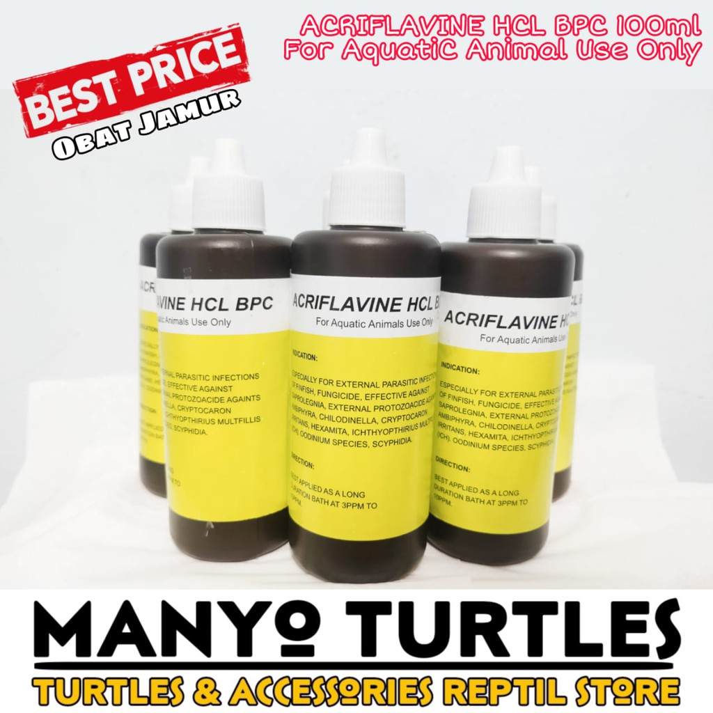 Acriflavine HCL Obat Jamur Ikan dan kura kura