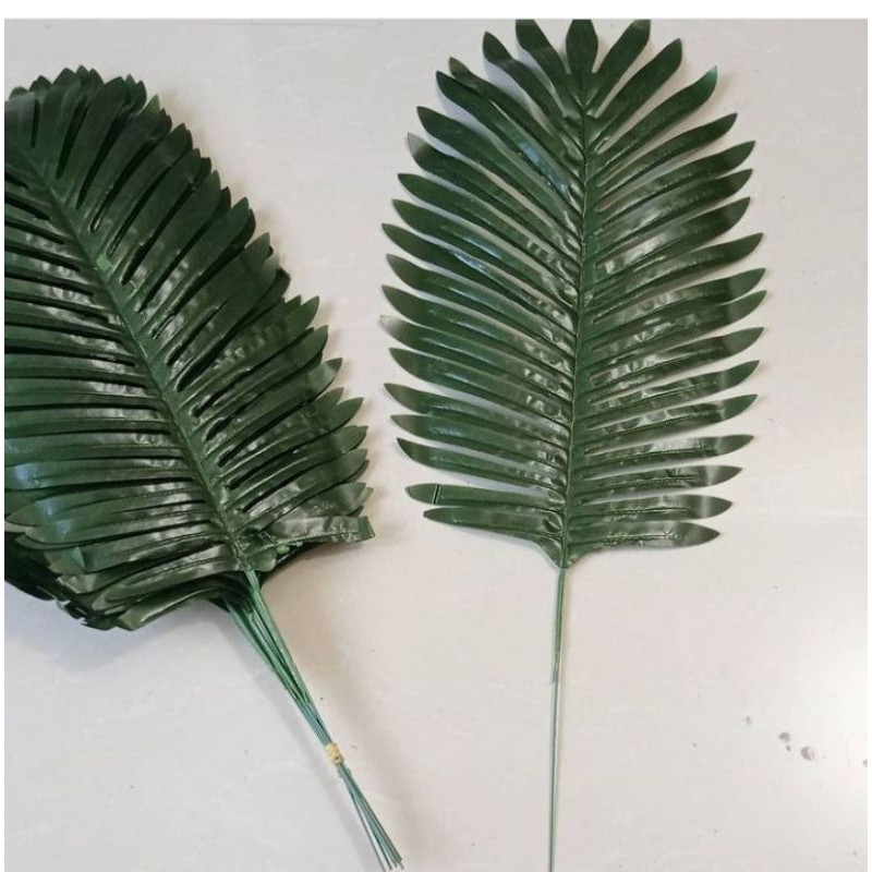 daun palem mini