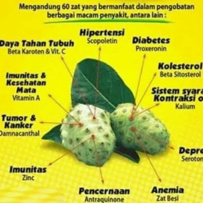 

buah pace segar,harga 1 KG 9k