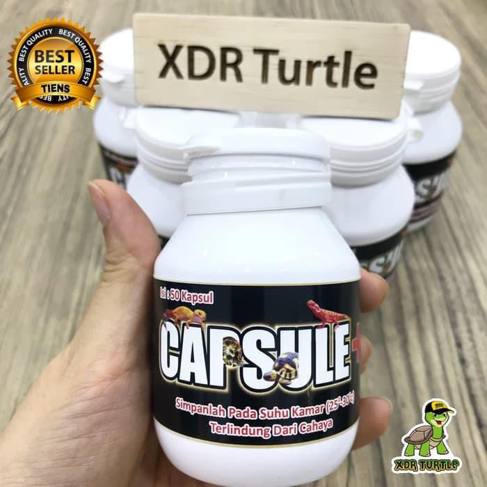 Capsule Plus Ecer Obat Torto Reptil Kurakura Brazil Res