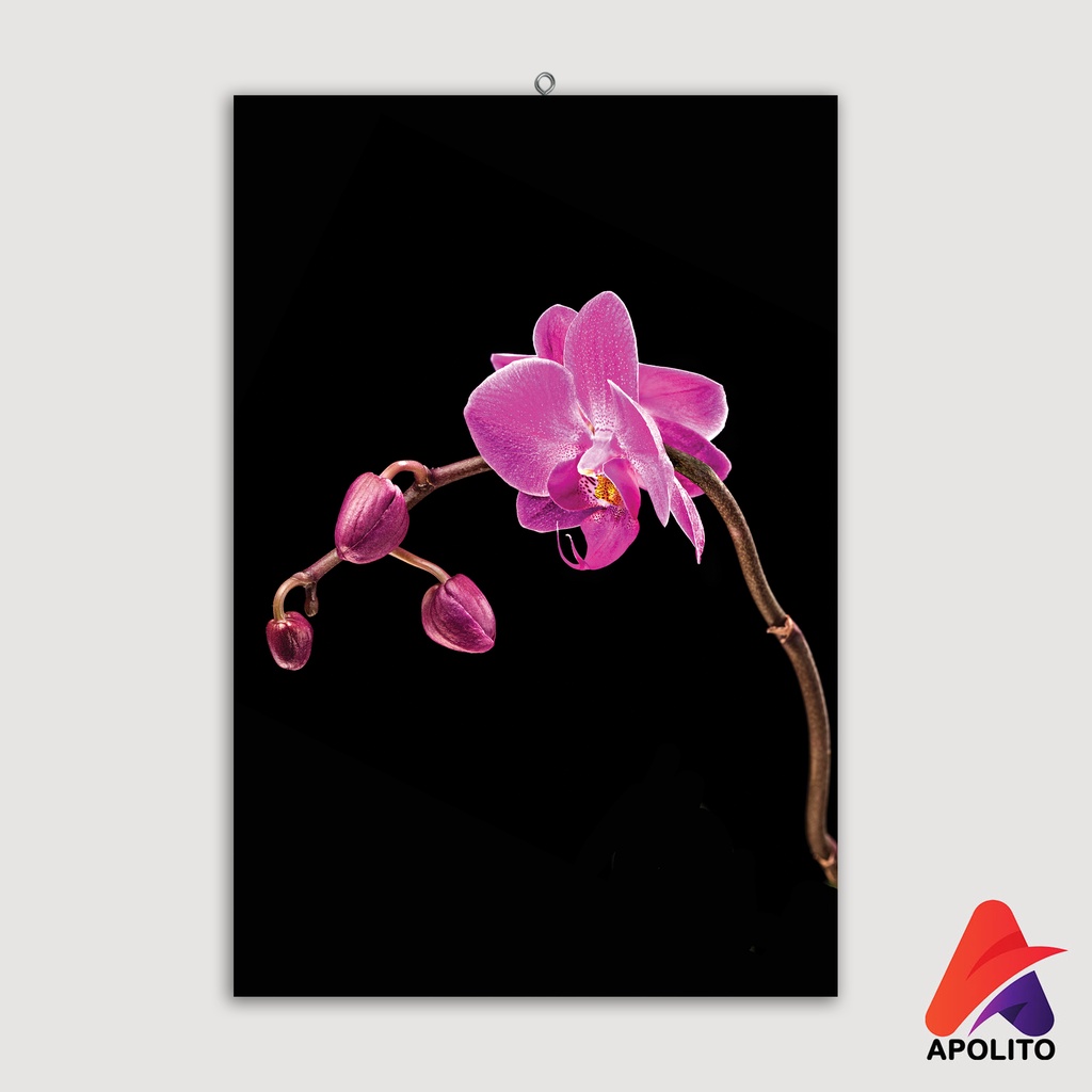 HIASAN DINDING BUNGA ANGGREK (20X30 CM) WALL DECOR PAJANGAN DINDING POSTER KAYU RUANGAN