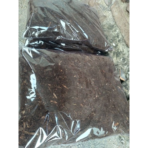 TANAH HUMUS / TANAH KOMPOS / media tanam