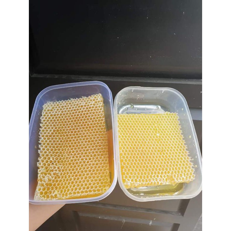

Madu sarang 250gr