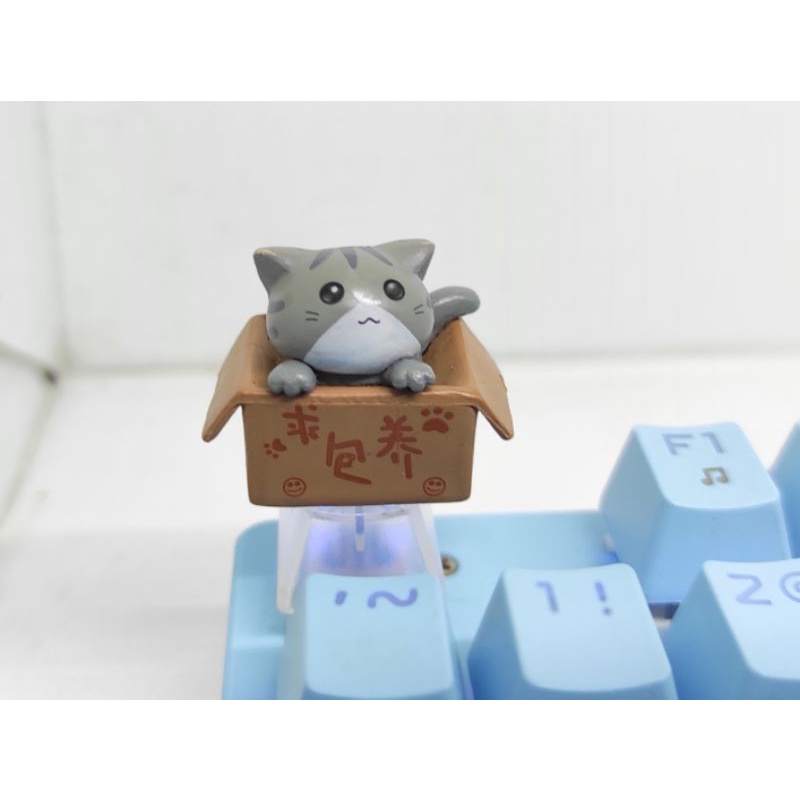 Keycaps mechanical keyboard cat cute, keycaps keyboard kucing lucu