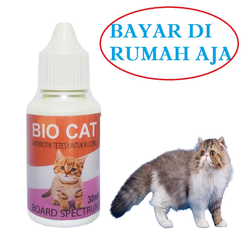 OBAT ANTIBIOTIK  KUCING OBAT DEMAM FLU PILEK NGOROK VIRUS  BIO CAT