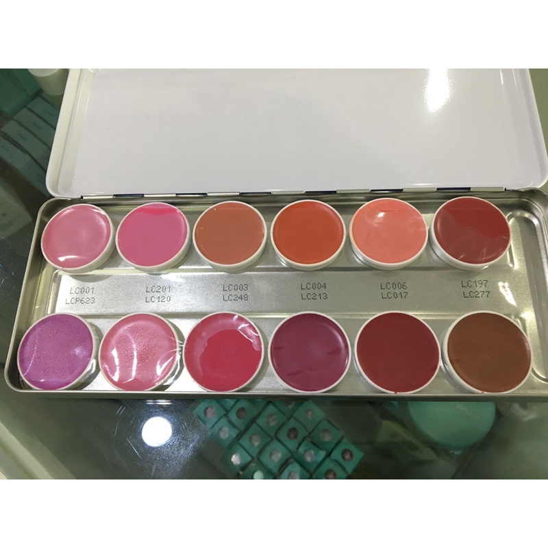 Kryolan Lip Rouge Palette 12 Warna