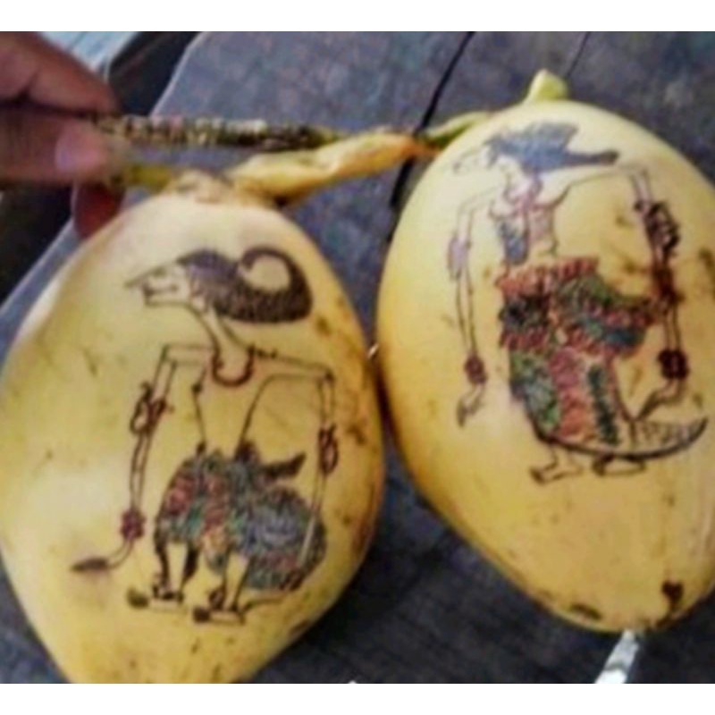 Jual Jasa Lukis Kelapa/Krambil/Cengkir Gading gambar wayang untuk tingkepan acara 7 bulanan