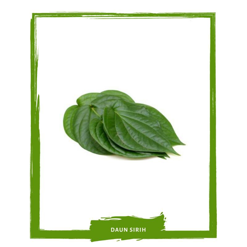 

Daun Sirih / Sayur Sayuran Segar By Mallahrizwa