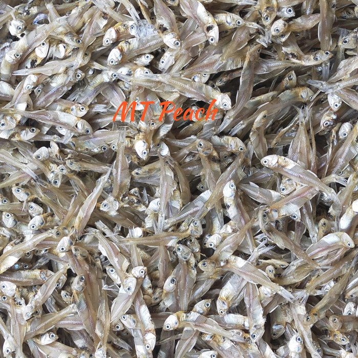 

IKAN TERI BESAR KUALITAS PREMIUM MINI DRY FISH 1 KG IKAN ASIN