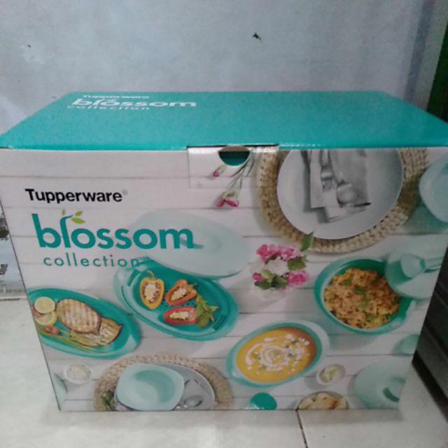 Bloomia Collection Set/blossom Collection Set Tosca
