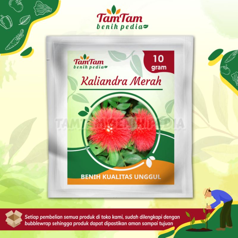 Benih kaliandra merah pakan ternak 10 Gram