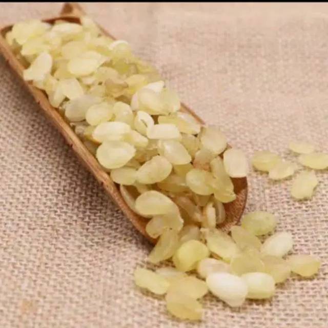 

Snow lotus seed (50 gram)