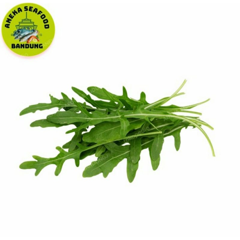 

Daun Unik : Aragula, Oregano, Thyme, Taragon, Basil, Rosemary, Kari / 100gr