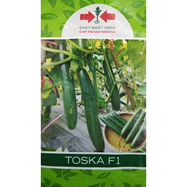 Jual 175 Benih Timun Jepang toska f1 panah merah