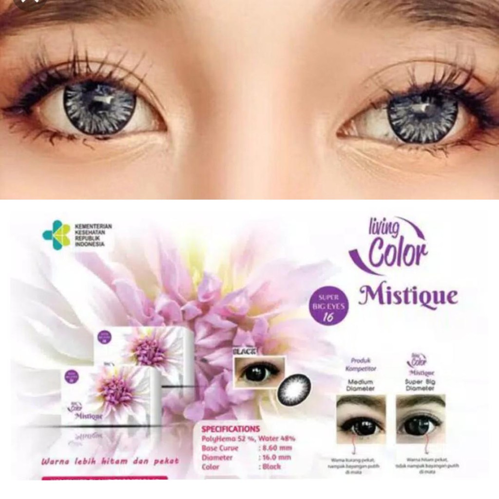 Softlens Living Color Mistique NORMAL - BLACK / GREY / BROWN