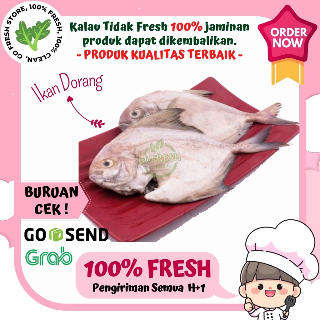 

IKAN DORANG SEGAR LOKAL MURAH