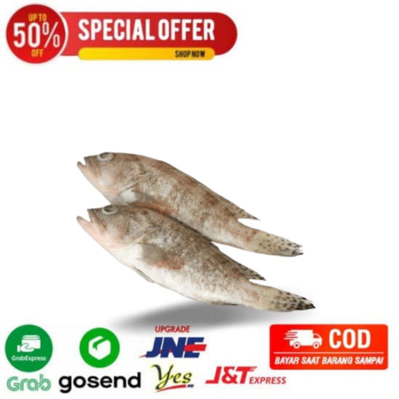 

ikan kerapu fresh segarmart bandung