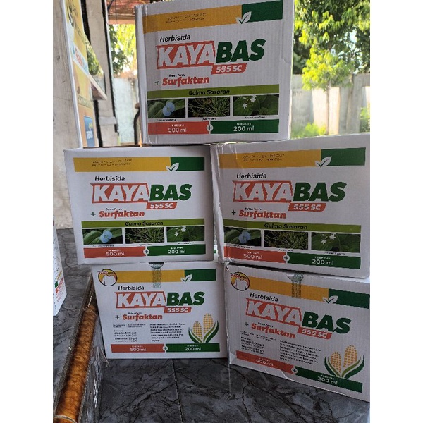 kAYABAS