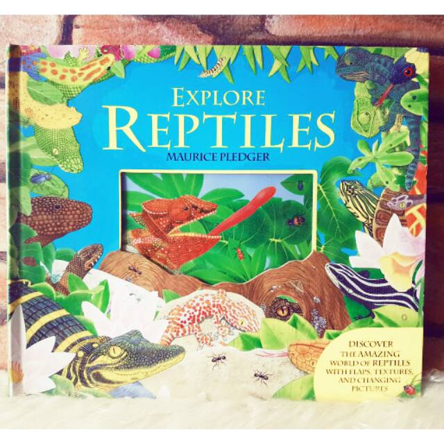 EXPLORE REPTILES