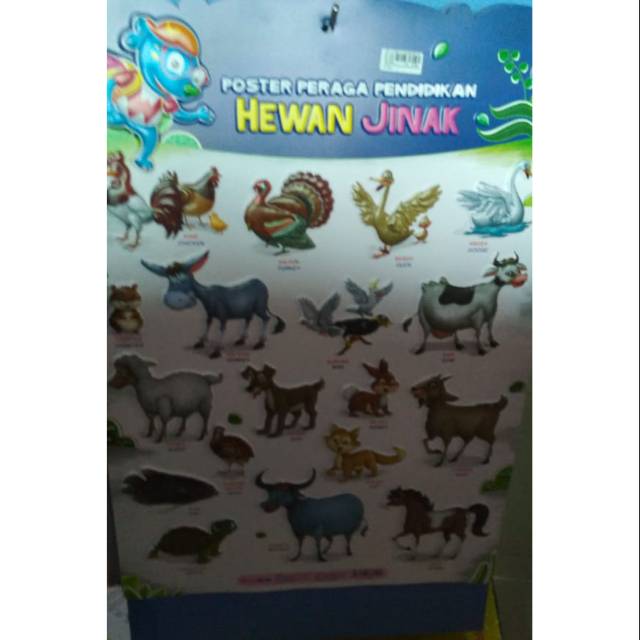 

Poster peraga pendidikan