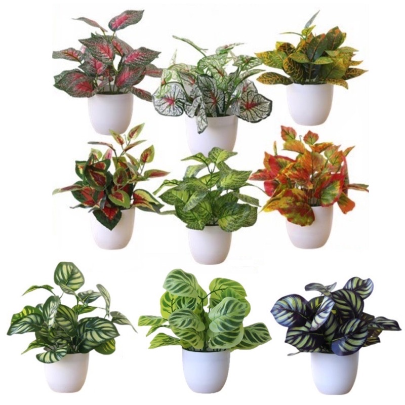 Pot Bonsai Tanaman Hias Palsu Dekorasi Tanaman Artificial Plastik