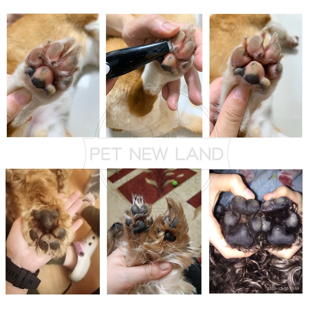 Pet Trimmer Paw Cukuran Pet Paw Alat Cukur Pet Clipper Paw Pet Paw Trimmer Elektrik Grooming Kucing