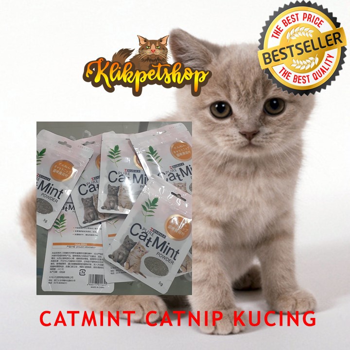 Catnip catmint cat mint - PURE CATMINT POWDER - BIKIN FLY KUCING