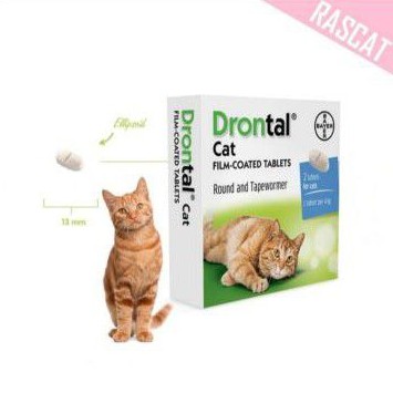 Obat cacing buat kucing DRONTAL cat per tablet ecer atau satuan