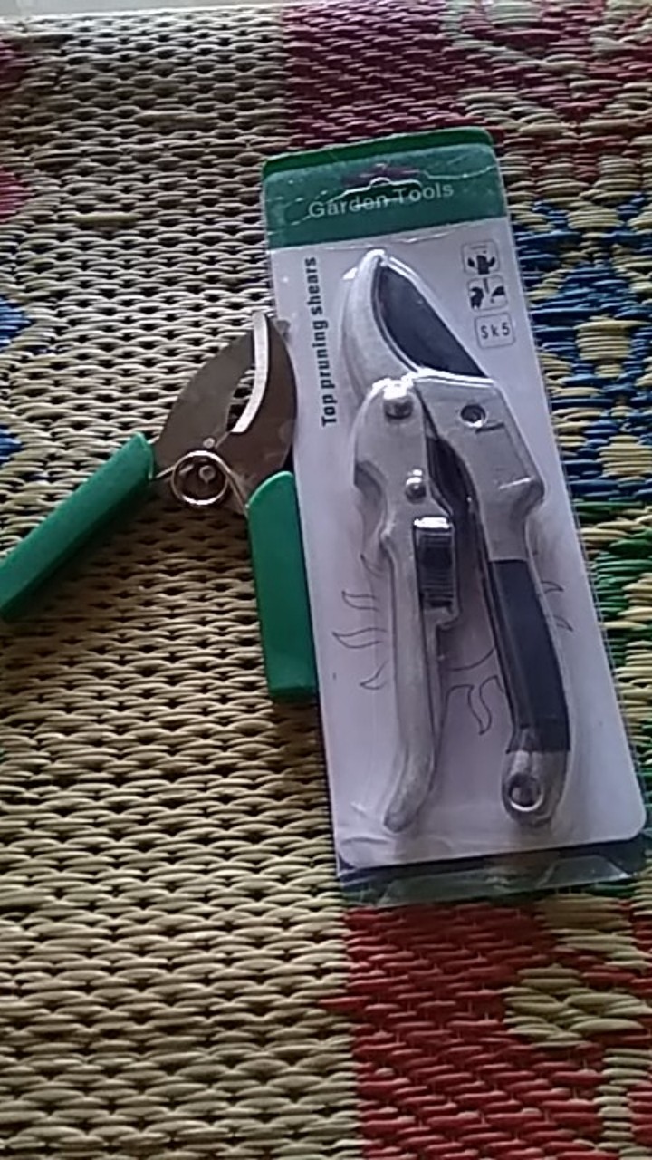 Pohon Untuk Tang Alat Perkebunan Pemotong Tangkai 