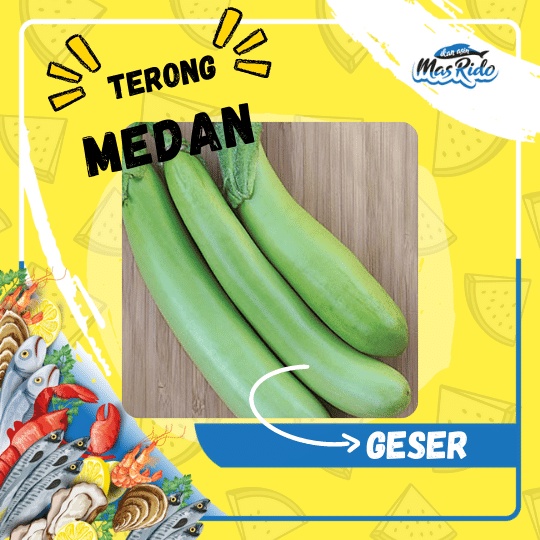 

Terong Medan Terong Hijau Lalap