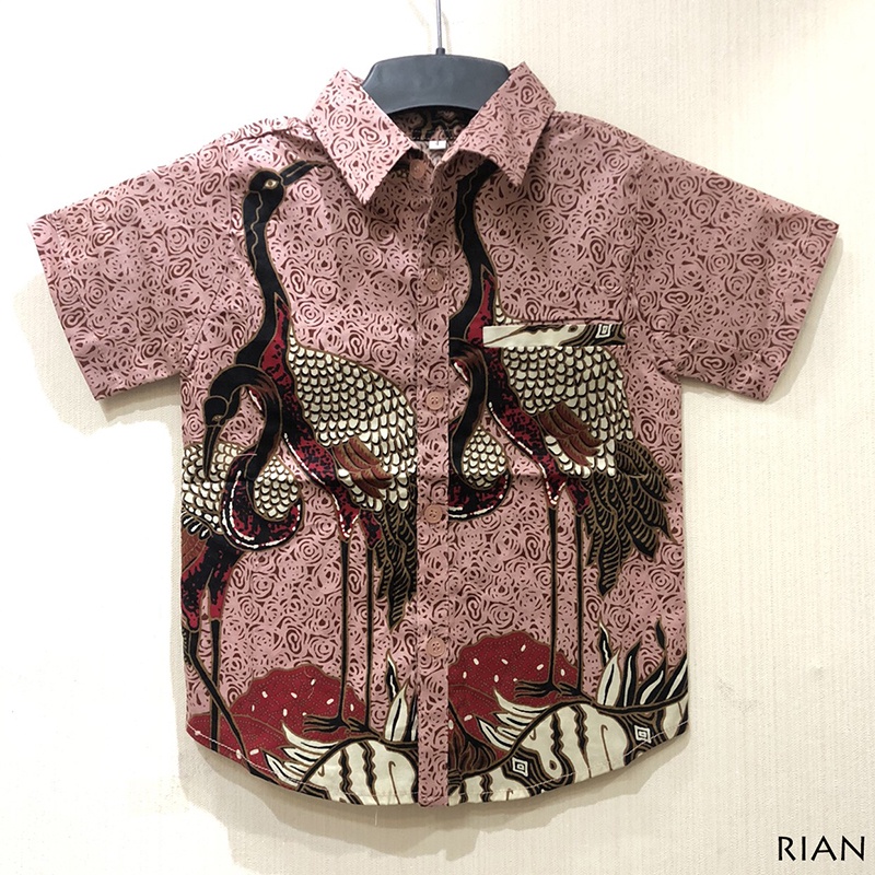 Kemeja Batik Anak - Batik Anak Laki-Laki / Kemeja Anak / Batik Couple / Rian Kids