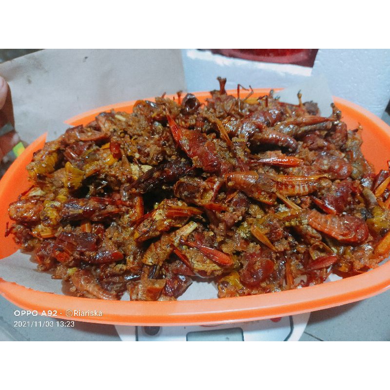 

belalang gurih