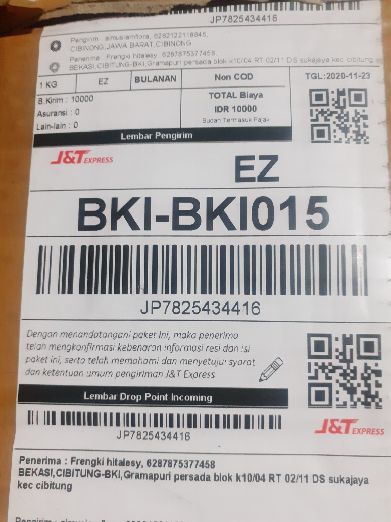 Tanaman Hias Sansivera Moon Shine