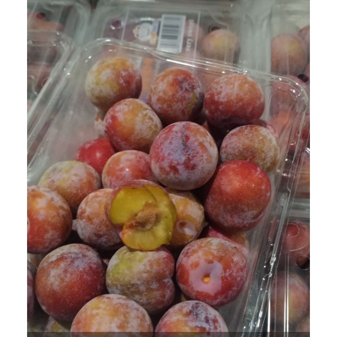 

Buah PLUM LANGKA