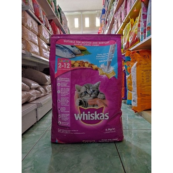 Ekspedisi Whiskas Kitten Ocean fish freshpack 6,5kg - makanan anakan kucing freshpack 6,5kg