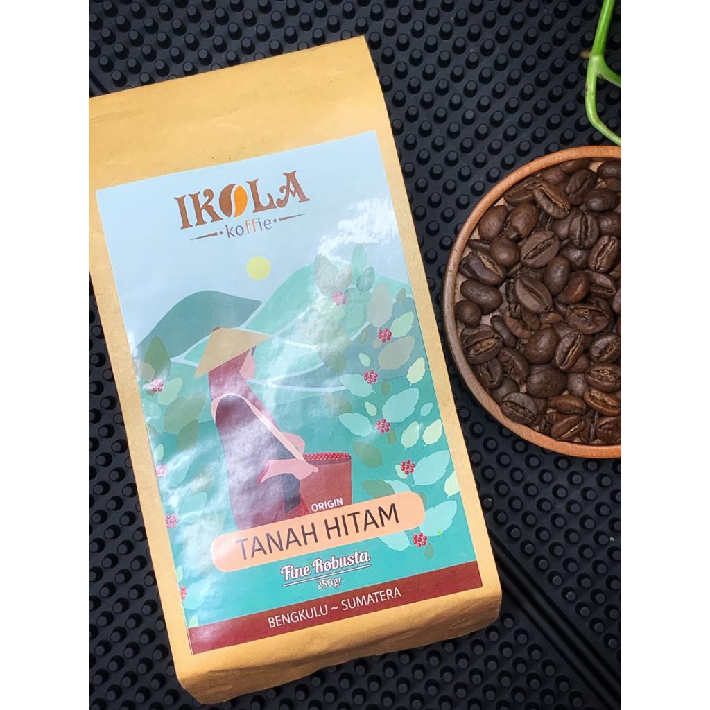

Kopi robusta premium Bengkulu