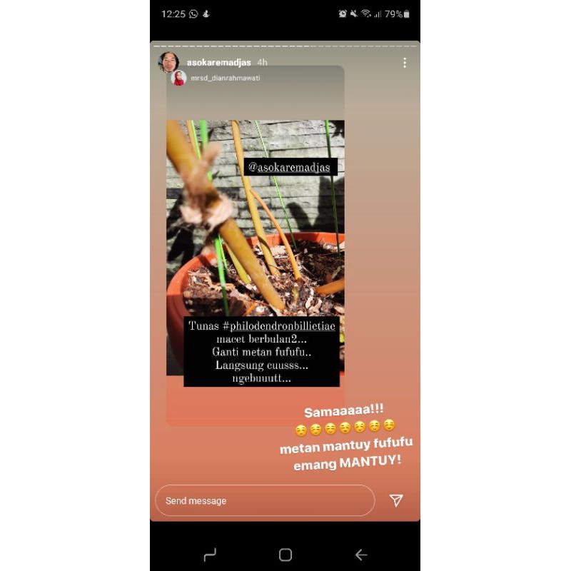 bundling metan mantuy fufufu + growth serum #1 ukuran 10 ml #nobrandplant