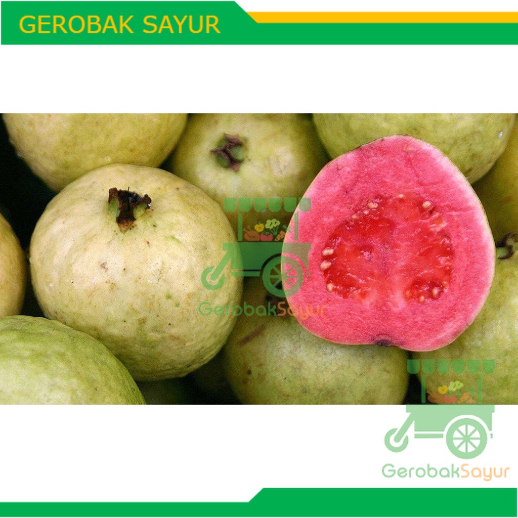 

Jambu Merah 1 kg