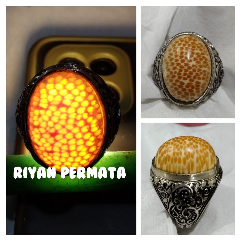 Cincin asli kayu liwung putih tutul coklat senter tembus