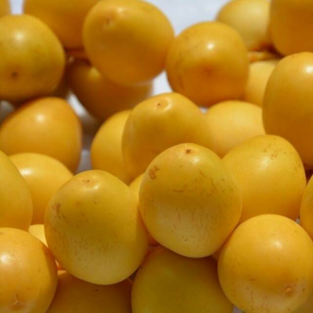 dianalestari.lestari